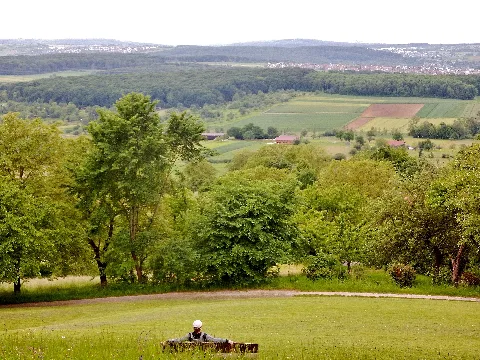 Ausblick Vom Grafenberg Panoramio