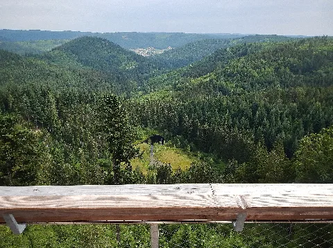 Ausblick Von Aussichtsplattform Ellbachsee, Karsee, Buhlbach , Wild , Glaswaldsee Panoramio