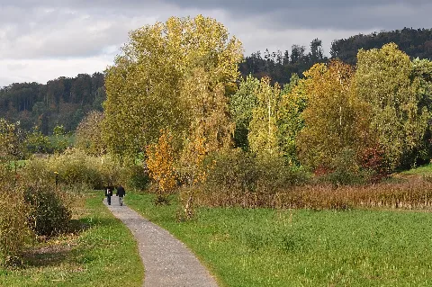 Auslikon Pfäffikersee 2010 10 19 16 29 26