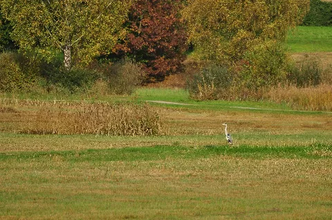 Auslikon Pfäffikersee 2010 10 19 16 36 24