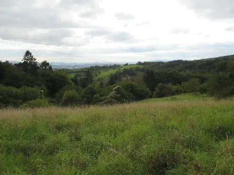 Aussicht Über Die Streuobstwiesen