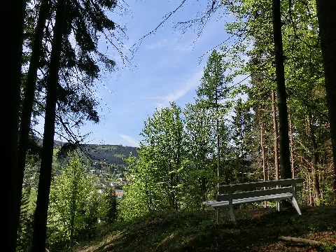 Aussichtsbank Mittelberg Panoramio