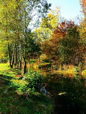 Autumn Panoramio (43)