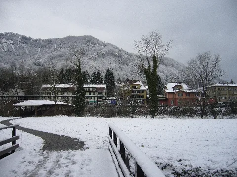 Auuntleimbachi