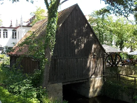 B Kösenradinsel1
