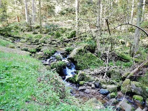 Bach Alb Panoramio