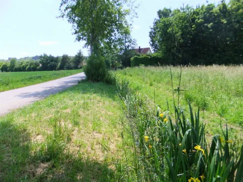 Bach Bei Emmering Geo.hlipp.de 37414