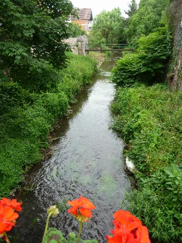 Bach Rheinzabern