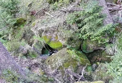 Bach (Zufluss Zur Kleinen Enz) Panoramio