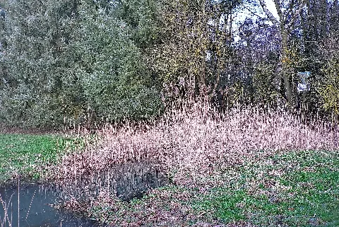 Bachlauf Im Hengster