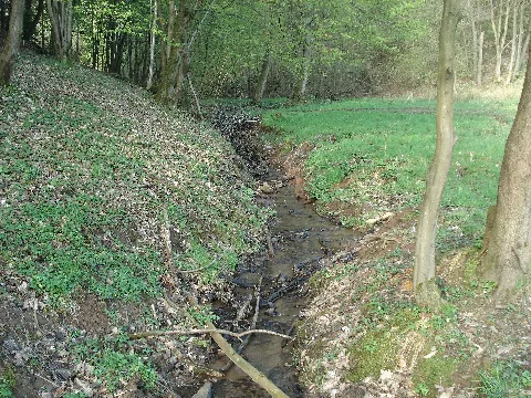 Bachlauf Westlich Von Reichenbach (Mömbris)