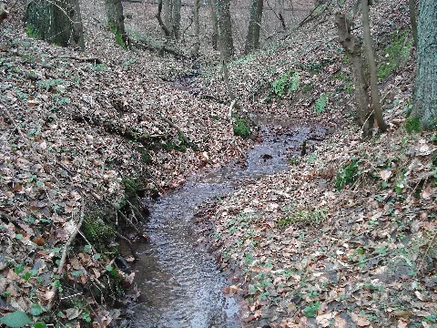 Bachquellengraben