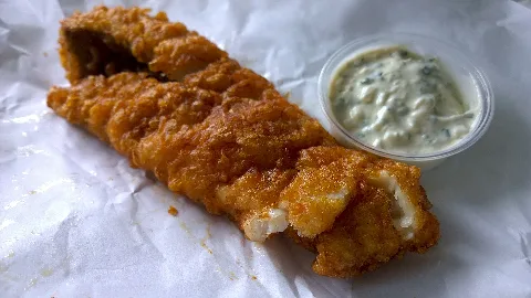 Backfisch 150924 Aw