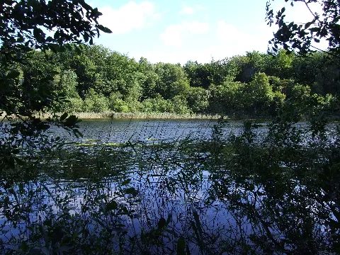 Backofensee