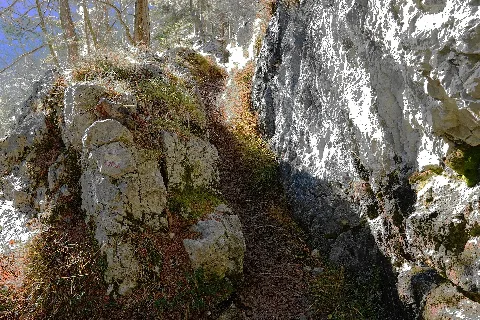 Circular hiking trail 5 kilometres along the Stollen hiking trail at an altitude of 1000 metres, on the sunny side of the Bleiberg high valley, district of Villach Land, Carinthia, Austria, EU