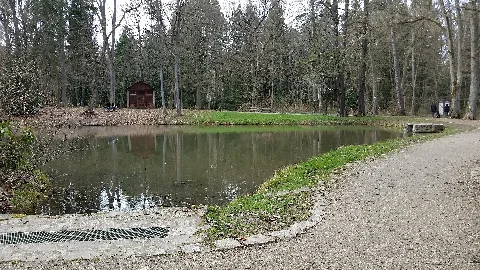 Bad Homburg, Der Forstgarten Mit Teehaus
