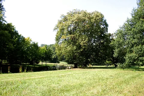 Bad Muskau Park 19 Ies