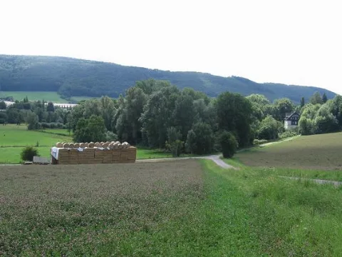 Bad Pyrmont Felder Geo.hlipp.de 40090