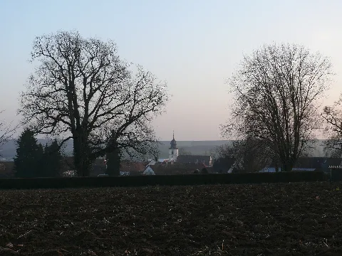 Bad Rappenau Bonfeld Evangelische Kirche Ansicht Von Norden Über Den Friedhof (1)