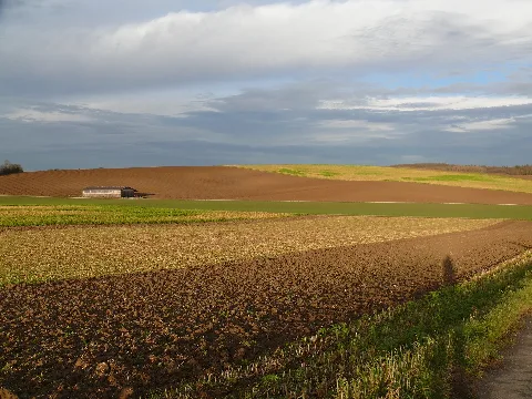 Bad Rappenau Bonfeld Hungerberg Von Sw Im Januar