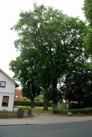 Bad Schwartau Eichen Lindenstraße 41