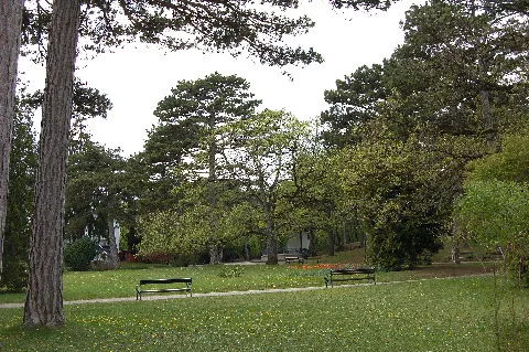 Bad Voeslau Kurpark 01