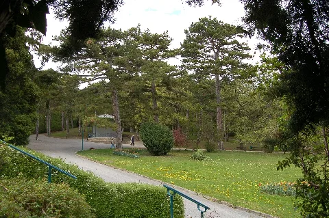 Bad Voeslau Kurpark 03