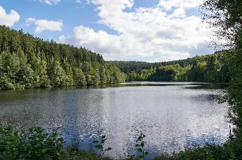 Bad Wünnenberg 2017 09 16 Nsg Große Aa (16)
