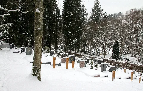 Baden Baden Friedhof Lichtental Juedischer Teil 14 Gje