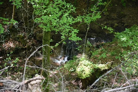 Baden Württemberg, Uhingen, Nsg 1116 Bärentobel 01