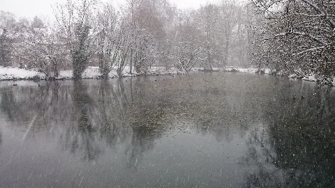 Baders Weiher