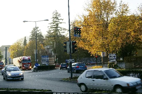 Bärenkreuzung