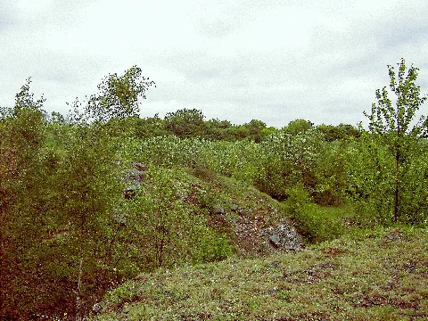 Bärenstein Landschaft