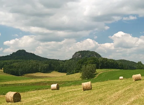 Baerensteine Lc0180
