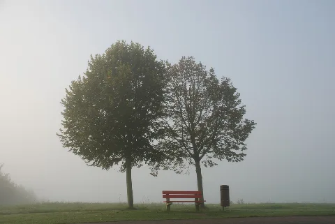 Baettwil So, Herbst (1503651509)