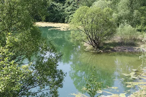 Baggersee Im Naturschutzgebiet Am Ginsterpfad, Köln