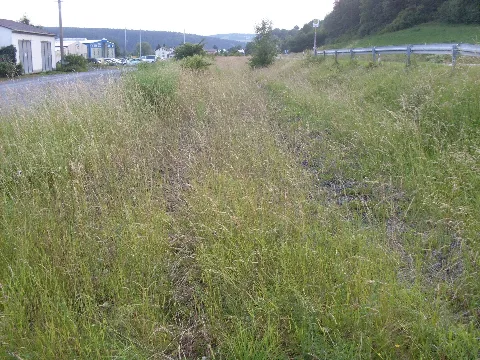 Bahnhof Höfles Rodachtalbahn