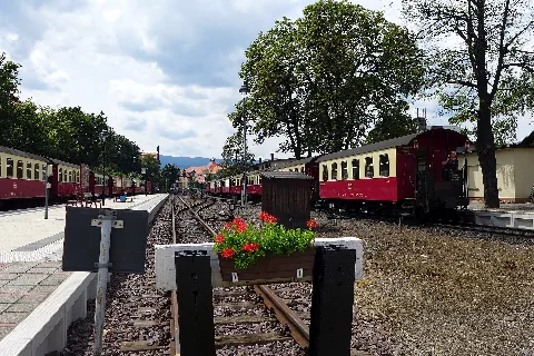 Bahnhof Wernigerode, 2014 (10)
