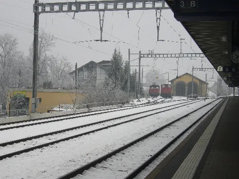Bahnhoffrauenfeldii