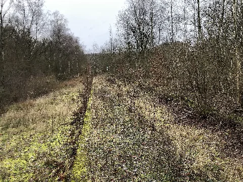 Bahnsteig Schee Heute