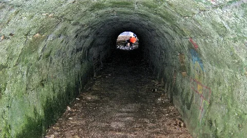 Bahnunterführung Dole Panoramio