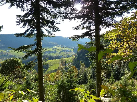Baiersbronn (10562082623)