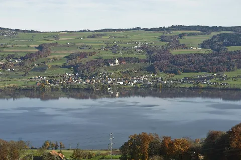 Baldeggersee Und Gelfigen Web