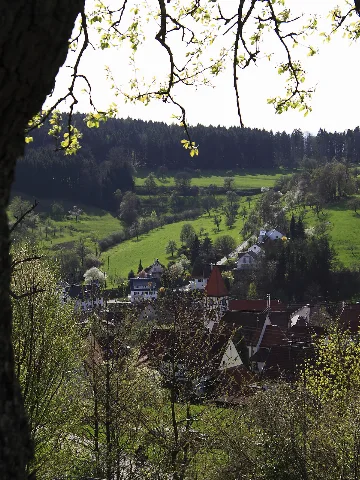 Balingen Streichen 110410