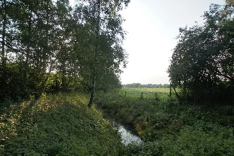 Ballerbeek