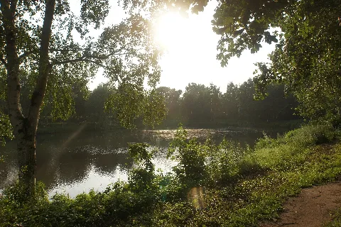 Ballerbeekdiek