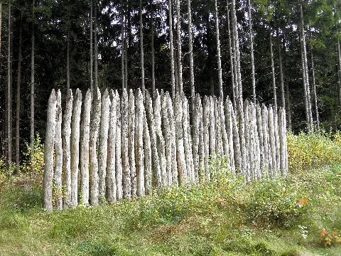 Bank And Ditch Of The Limes With A Reconstructed Palisade At Hillscheid (8118611000)