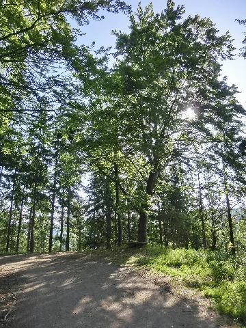 Bank Im Schatten Panoramio