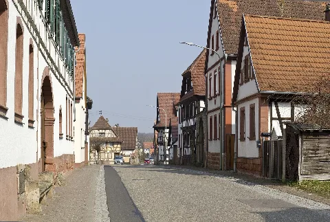 Barbelroth Hauptstrasse 20140306