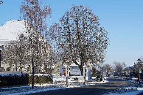 Barbing Panoramio (2)
